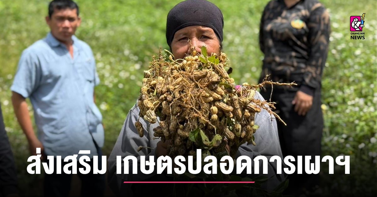 น่าน-ส่งเสริมโมเดล-“เกษตรปลอดการเผา-เศรษฐกิจหมุนเวียน-ชุมชนยั่งยืน”