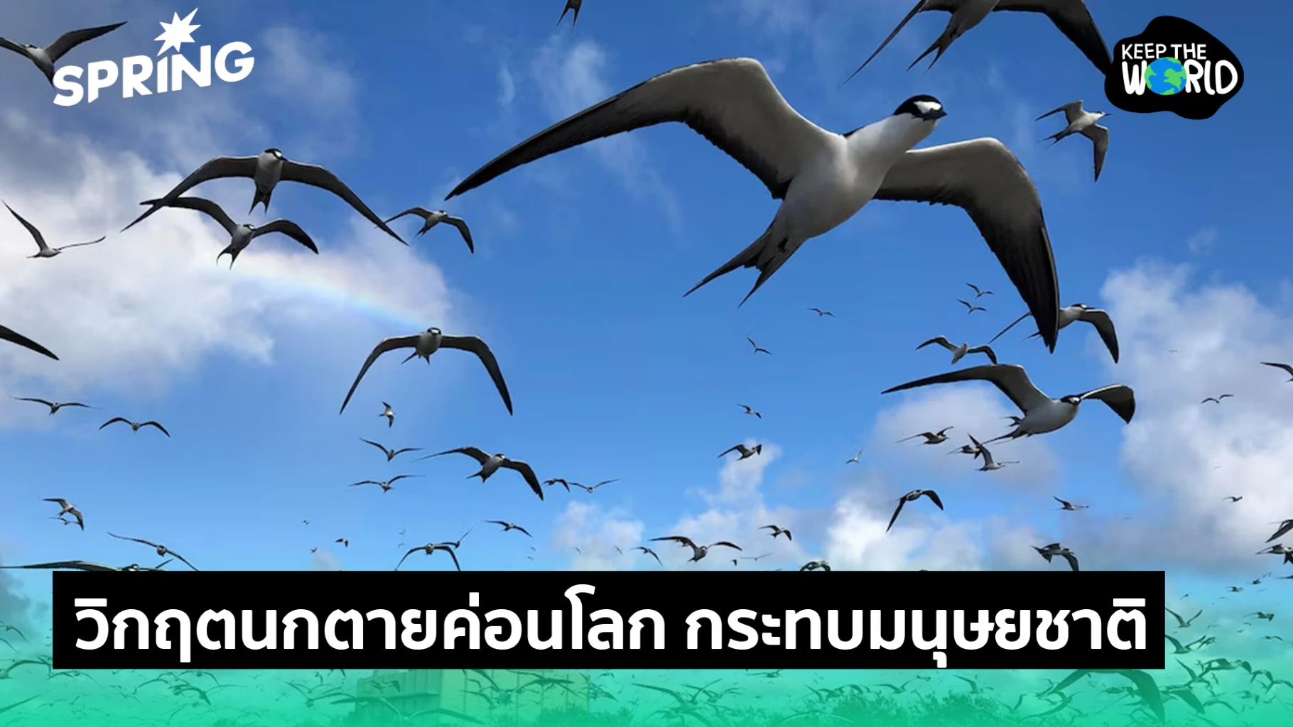 นกค่อนโลกมีพฤติกรรมแปลกไป-อาจส่งผลร้ายแรงต่อมนุษยชาติ