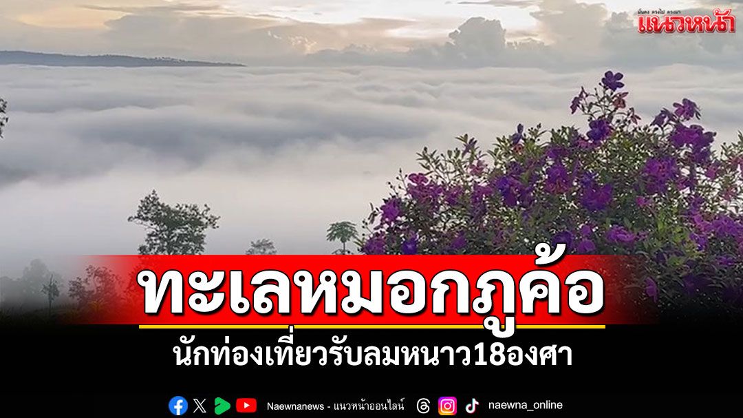 ทะเลหมอกภูค้อ-อากาศหนาว18องศา-นักท่องเที่ยวสัมผัสความสวยงาม