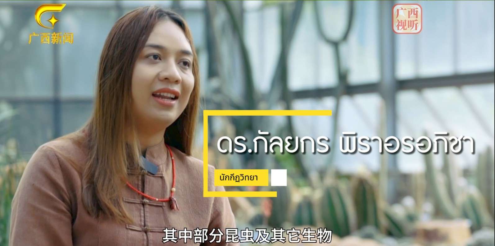 สุดปัง!!-นักกีฏวิทยาไทย-ร่วมนักวิจัยจีน-พัฒนาแอปอัจฉริยะช่วยคนปลูกชาจัดการศัตรูพืชอย่างยั่งยืน