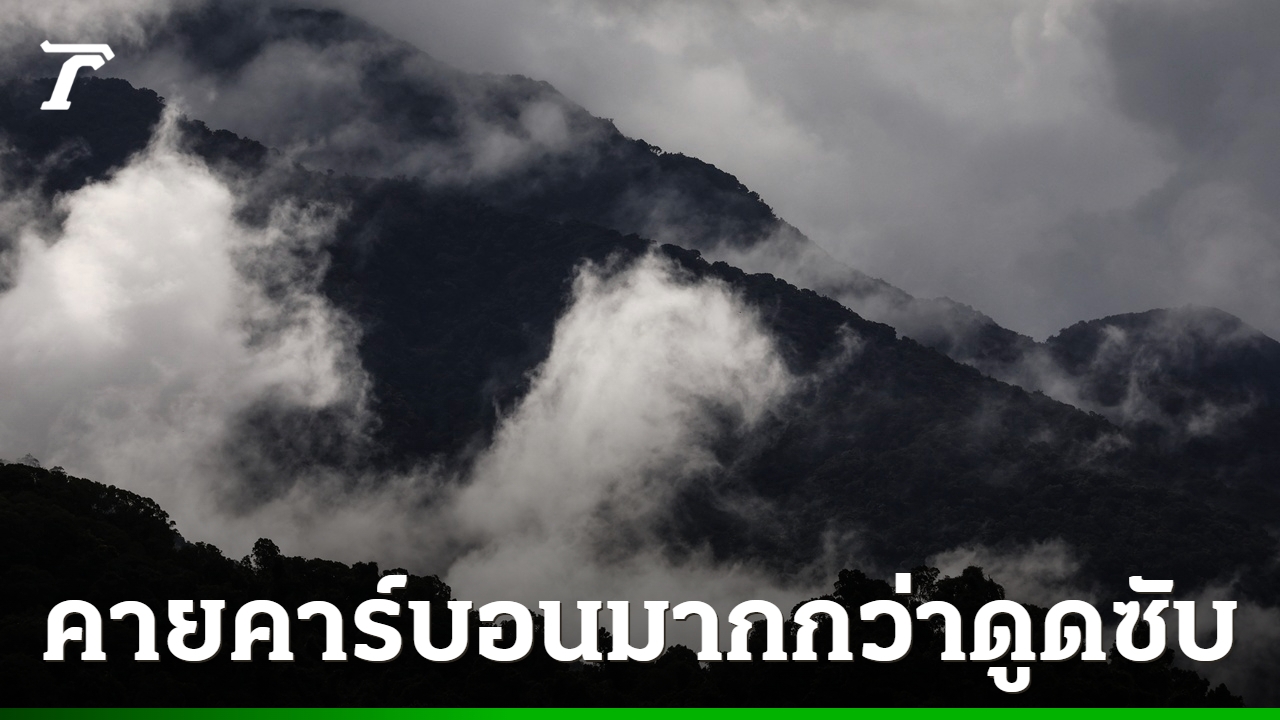 นักวิทย์เตือน-ป่าฝนในออสเตรเลีย-เริ่มคายคาร์บอนมากกว่าดูดเข้าไปแล้ว