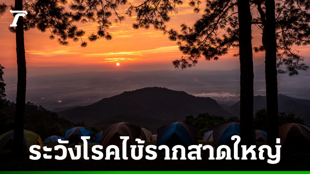 เตือน-นทท.-เข้าป่ากางเต็นท์-ระวังถูกตัวไรอ่อนกัด-เสี่ยงป่วย-“โรคไข้รากสาดใหญ่”