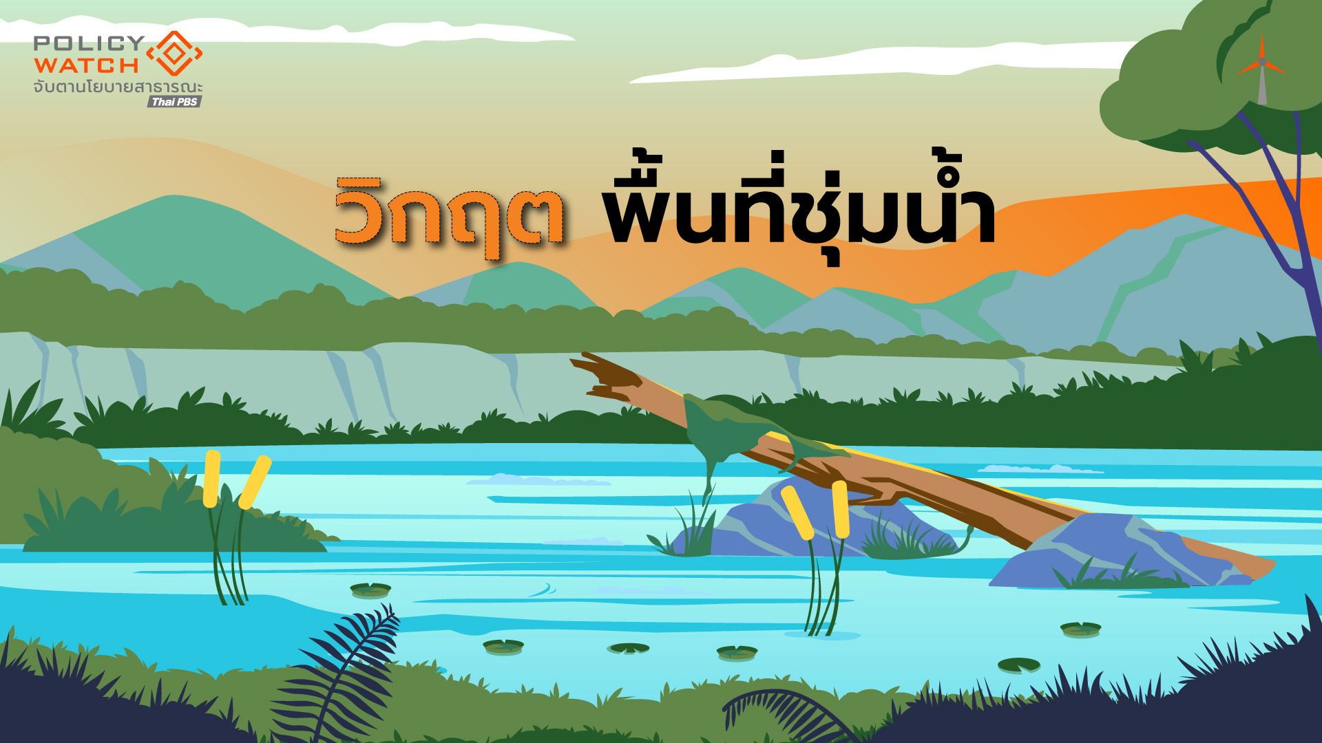 อวสานพื้นที่ชุ่มน้ำ?-”เสื่อมโทรม-บุกรุก“-ลดลงเกือบครึ่ง-ไร้กฎหมายควบคุม