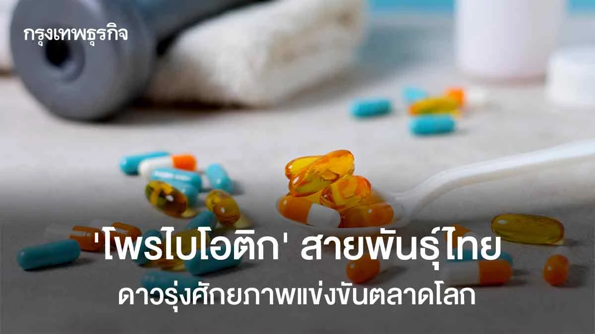 โพรไบโอติกสายพันธุ์ไทย-ดาวรุ่งศักยภาพแข่งขันตลาดโลก