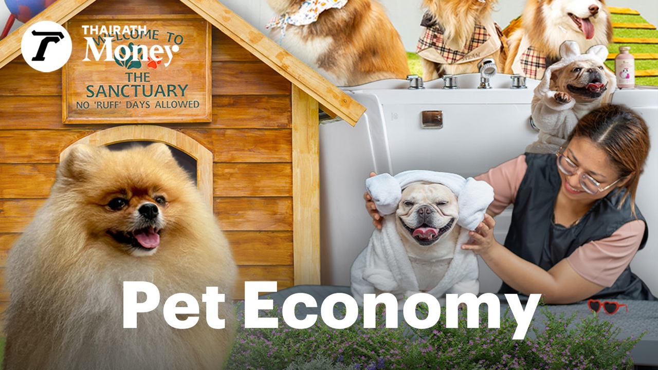pet-tourism-โอกาสใหม่โรงแรมหรู-คุยกับ-movenpick-คนไทยยอมย่อมจ่ายเพื่อสัตว์เลี้ยงขนาดไหน?