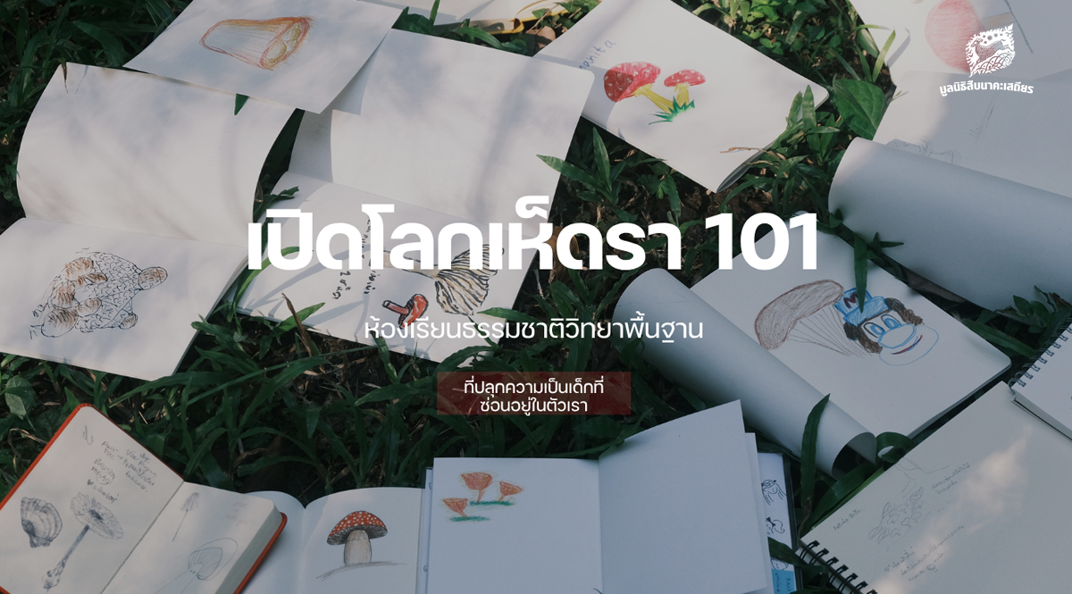 เปิดโลกเห็ดรา-101-ห้องเรียนธรรมชาติวิทยาพื้นฐาน-ที่ปลุกความเป็นเด็กที่ซ่อนอยู่ในตัวเรา-–-มูลนิธิสืบนาคะเสถียร