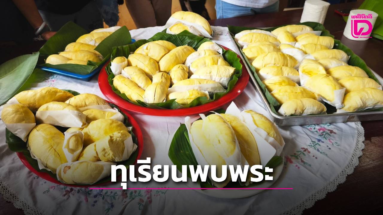 พัฒนา-“ทุเรียนน้ำแร่พบพระ”-จ.ตาก-รองรับการท่องเที่ยวเชิงธรรมชาติ-|-เดลินิวส์