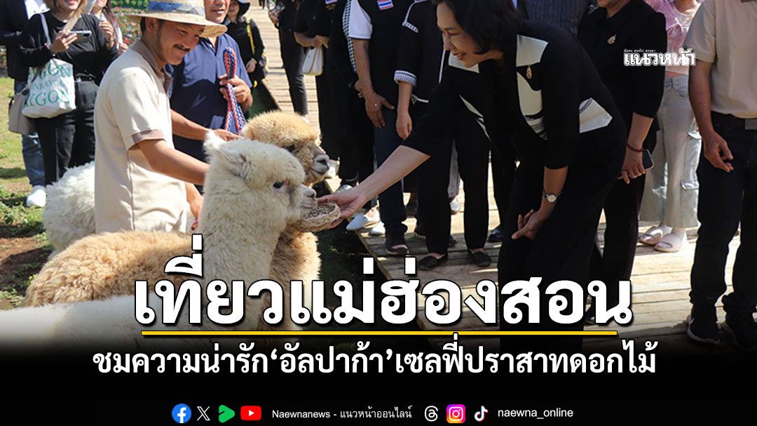 แม่ฮ่องสอนเปิดแหล่งท่องเที่ยวใหม่-ชมความน่ารัก