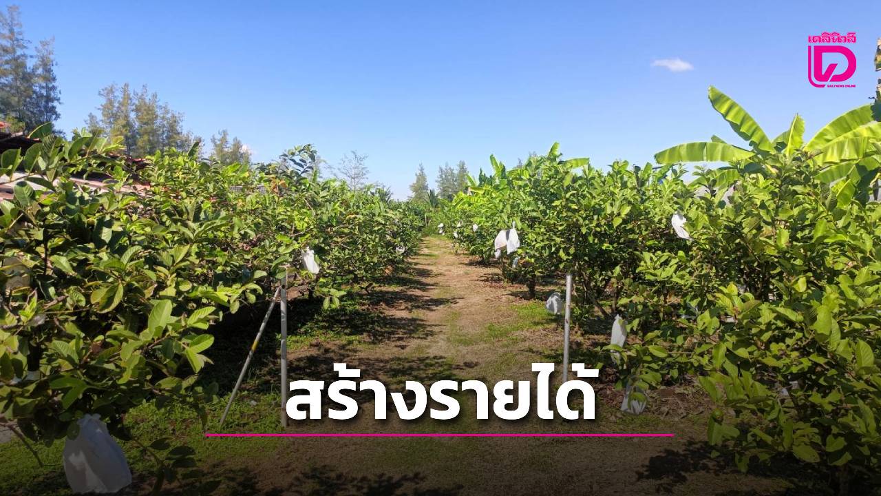 ศึกษาแนวทาง”เกษตรอินทรีย์เชิงท่องเที่ยว”สร้างรายได้ให้กับชุมชน-|-เดลินิวส์
