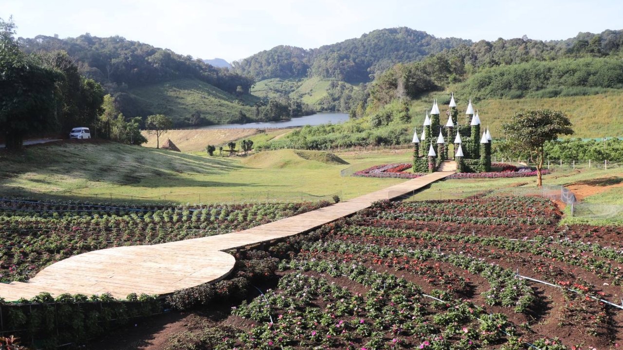 แม่ฮ่องสอนเปิดแลนด์มาร์คใหม่-“มะเขือส้ม-อัลปาก้า-ชีฟฟาร์ม”-จุดเช็คอินสุดคิ้วท์รับไฮซีซั่น