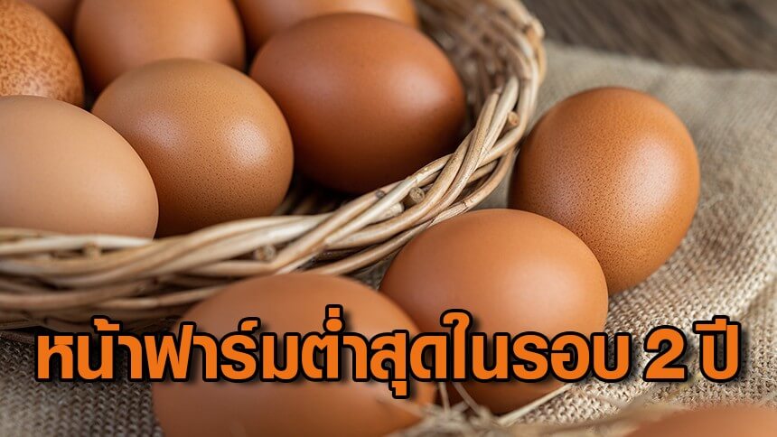 “ราคาไข่”-ดิ่งหนัก-หน้าฟาร์มเหลือ-3-บาท-ปรับลง-3-สัปดาห์ติด-ต่ำสุดในรอบ-2-ปี-แนวโน้มไหลลงยาว