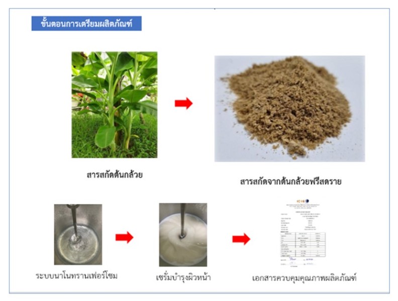 วว.-พัฒนาต้นแบบเวชสำอางจากสารสกัดต้นกล้วย