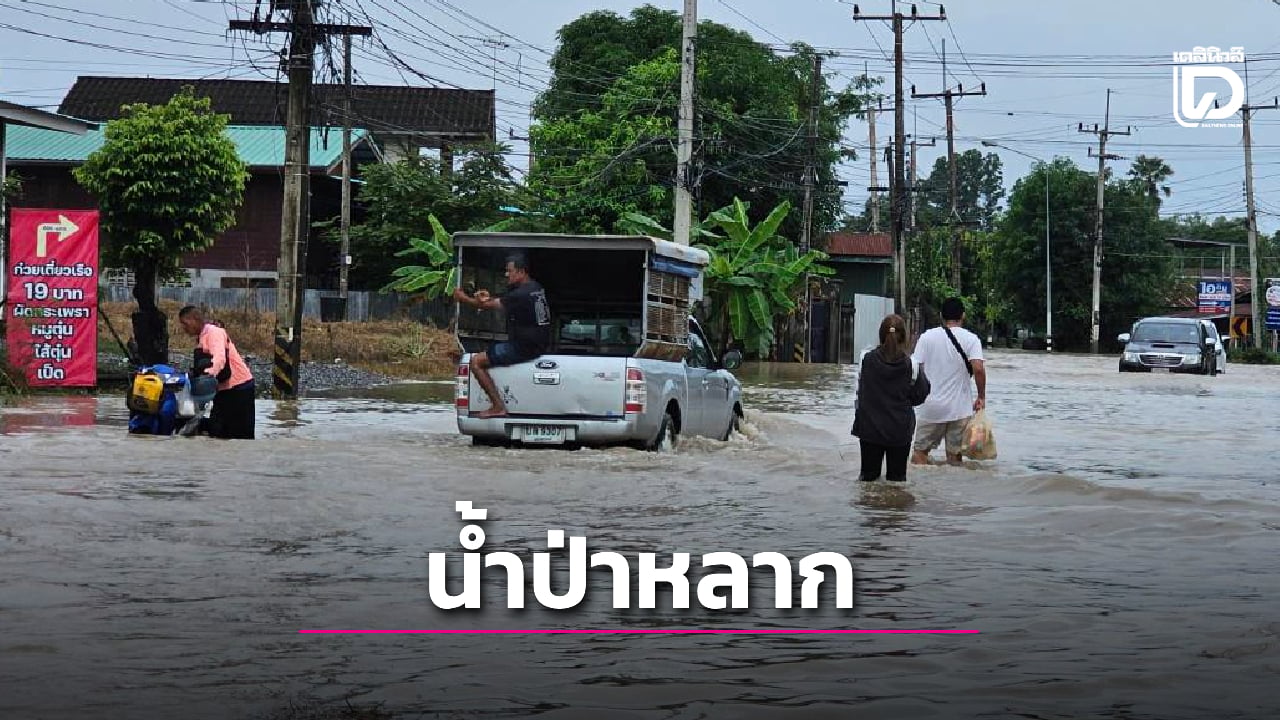 น้ำป่าแม่วงก์หลากท่วมลาดยาว-ลามเข้าเขตเศรษฐกิจ-ประกาศงดลอยกระทง!-|-เดลินิวส์