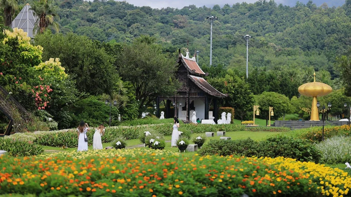 ความสุขบานสะพรั่งที่-‘อุทยานหลวงราชพฤกษ์’-ชมดอนญ่าควีนสิริกิติ์