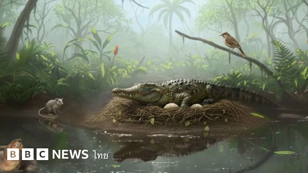 ฟอสซิลอายุ-55-ล้านปีชี้-จระเข้โบราณในออสเตรเลียปีนต้นไม้ได้-–-bbc-news-ไทย