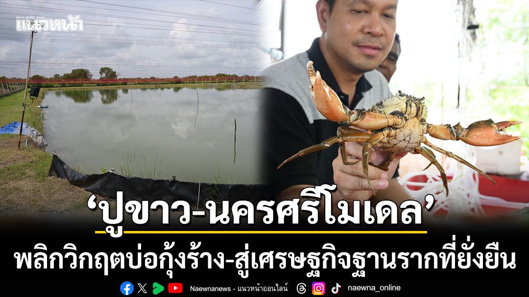 ‘ปูขาว-นครศรีโมเดล’-พลิกวิกฤตบ่อกุ้งร้าง-สู่ธุรกิจปูขาวเศรษฐกิจที่ยั่งยืน