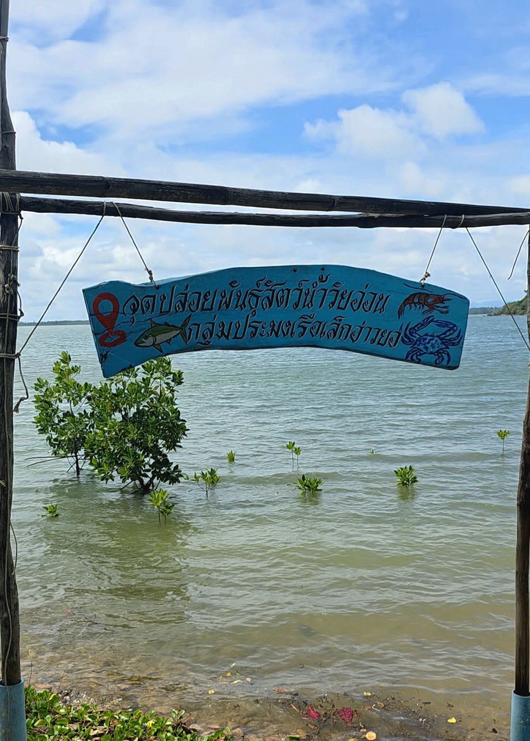 ‘ชุมพร’เมืองประตูสู่ภาคใต้-เสน่ห์แห่งทะเลและไลฟ์สไตล์ชุมชนจุดยุทธศาสตร์พลังงานภูมิภาค