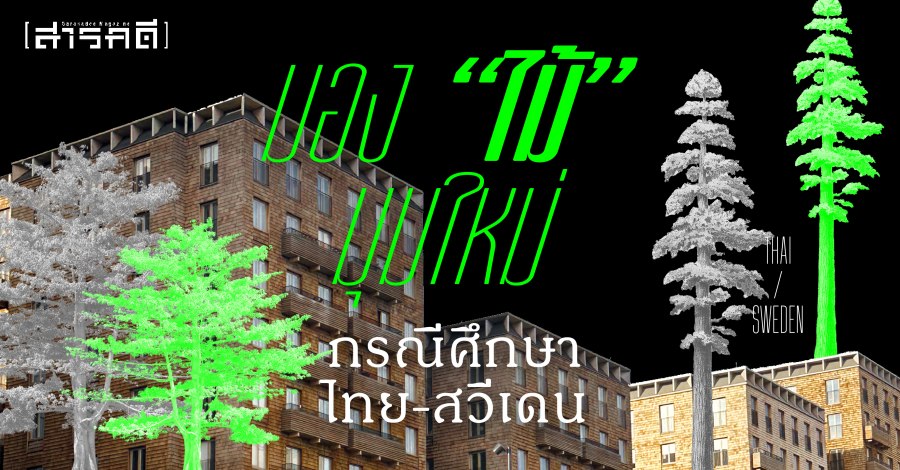 มอง-“ไม้”-มุม-ใหม่-กรณีศึกษา-ไทย-สวีเดน