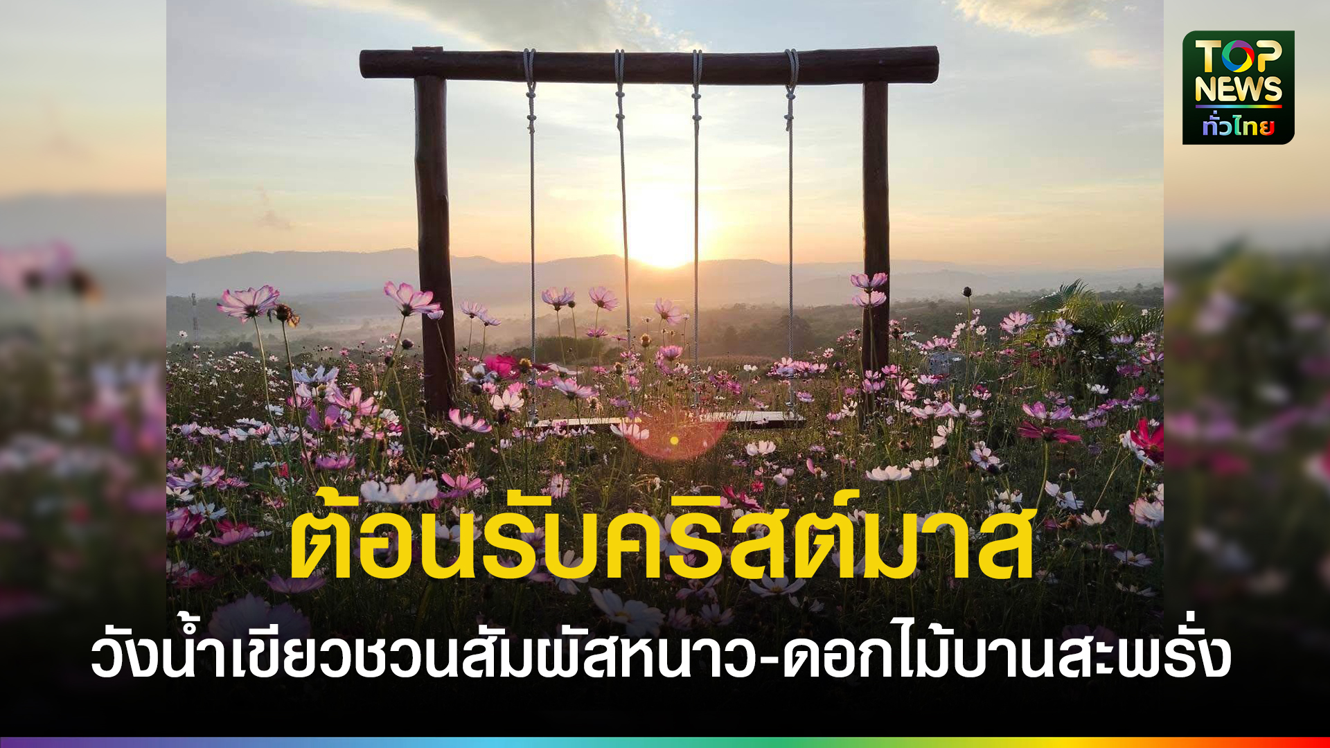 วังน้ำเขียวท่องเที่ยวคึกคัก-สัมผัสอากาศหนาว-ท่ามกลางดอกไม้บานสะพรั่ง-ต้อนรับเทศกาลคริสต์มาส-ช่วงส่งท้ายปี-|-topnews