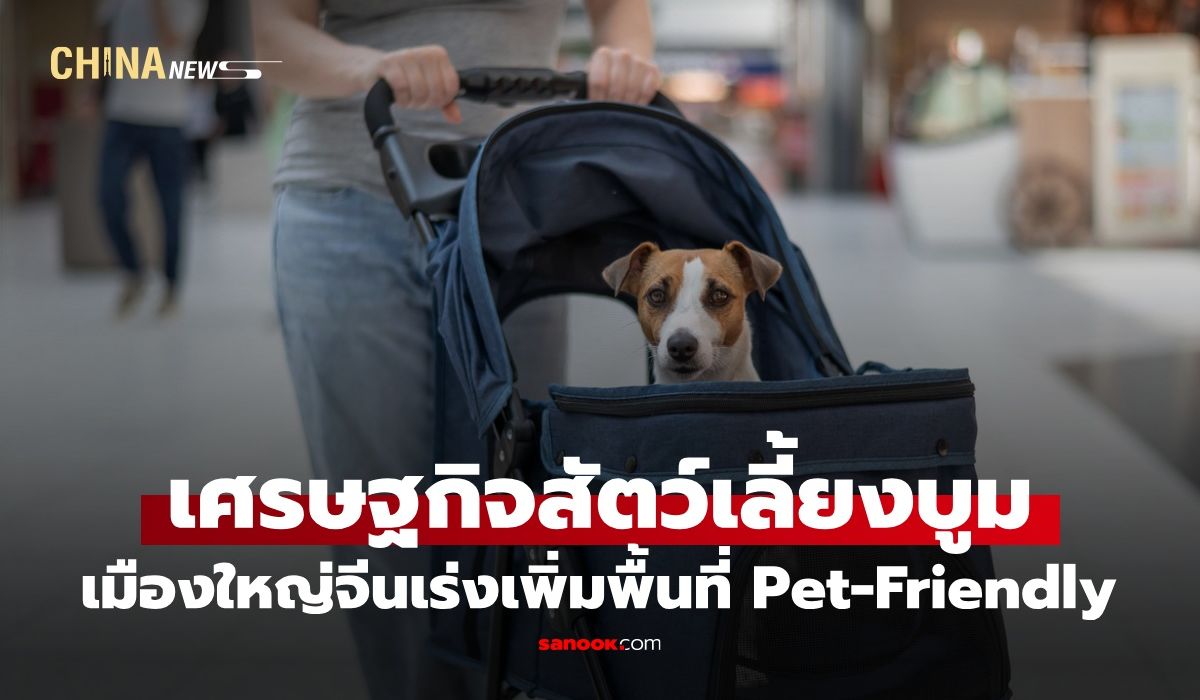 เศรษฐกิจ-“สัตว์เลี้ยง”-บูมในจีน-เมืองใหญ่เดินหน้าเพิ่มพื้นที่-pet-friendly