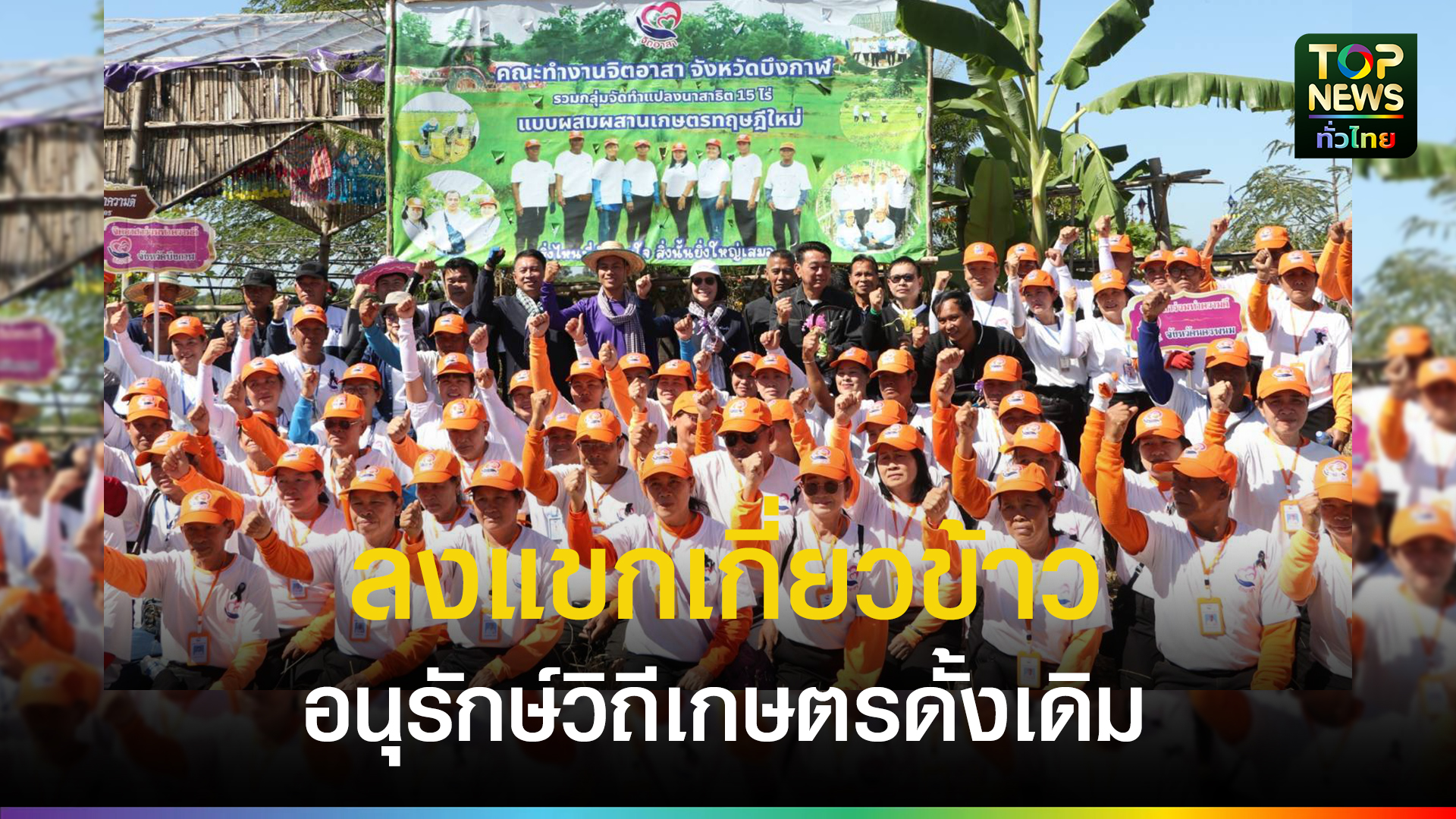 บึงกาฬ-คณะทำงานจิตอาสาจัดกิจกรรมลงแขกเกี่ยวข้าว-สืบสานประเพณีท้องถิ่น-และขยายแหล่งเรียนรู้เกษตรทฤษฎีใหม่-|-topnews