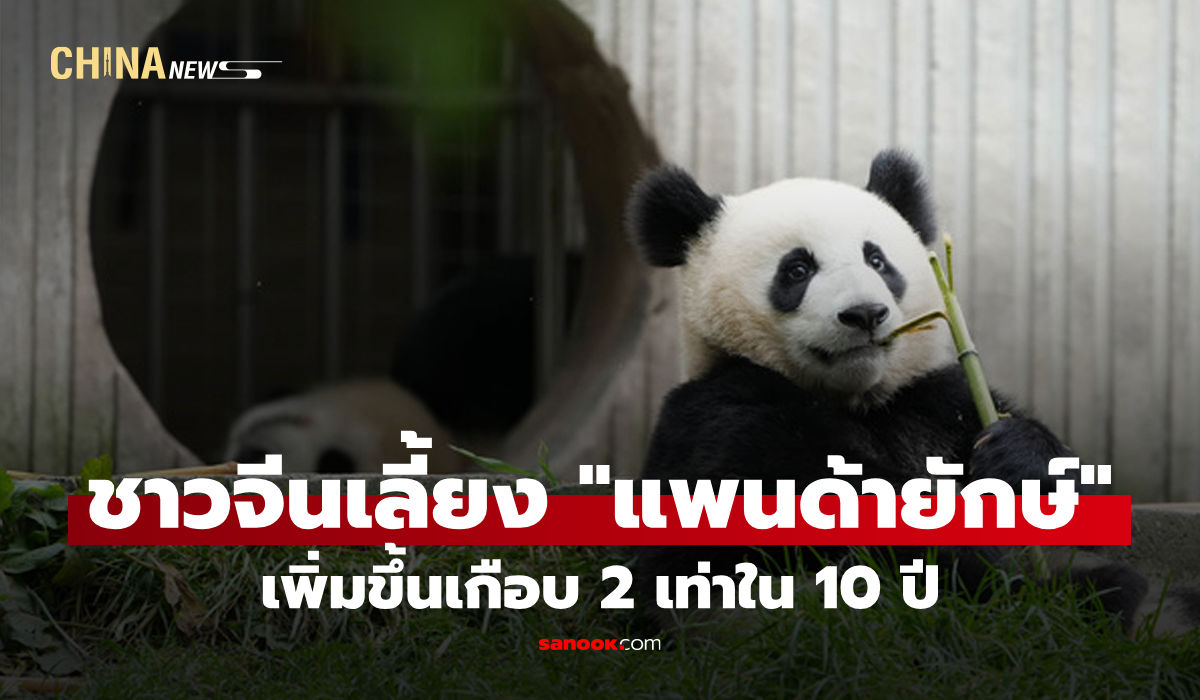 ประชากร-“แพนด้ายักษ์”-มนุษย์เลี้ยงในจีน-เพิ่มเกือบ-2-เท่าใน-10-ปี