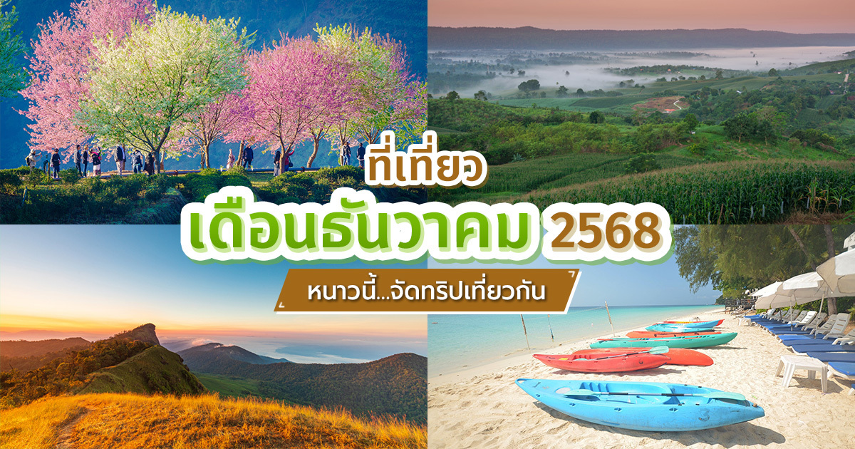ที่เที่ยวเดือนธันวาคม-2568-ทริปหน้าหนาวส่งท้ายปี-ฟินทุกสไตล์