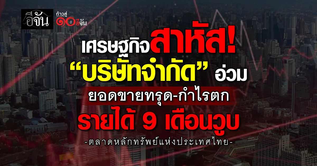เศรษฐกิจสาหัส!-“บริษัทจำกัด“-ยอดขายทรุด-กำไรตก-รายได้-9-เดือนวูบ