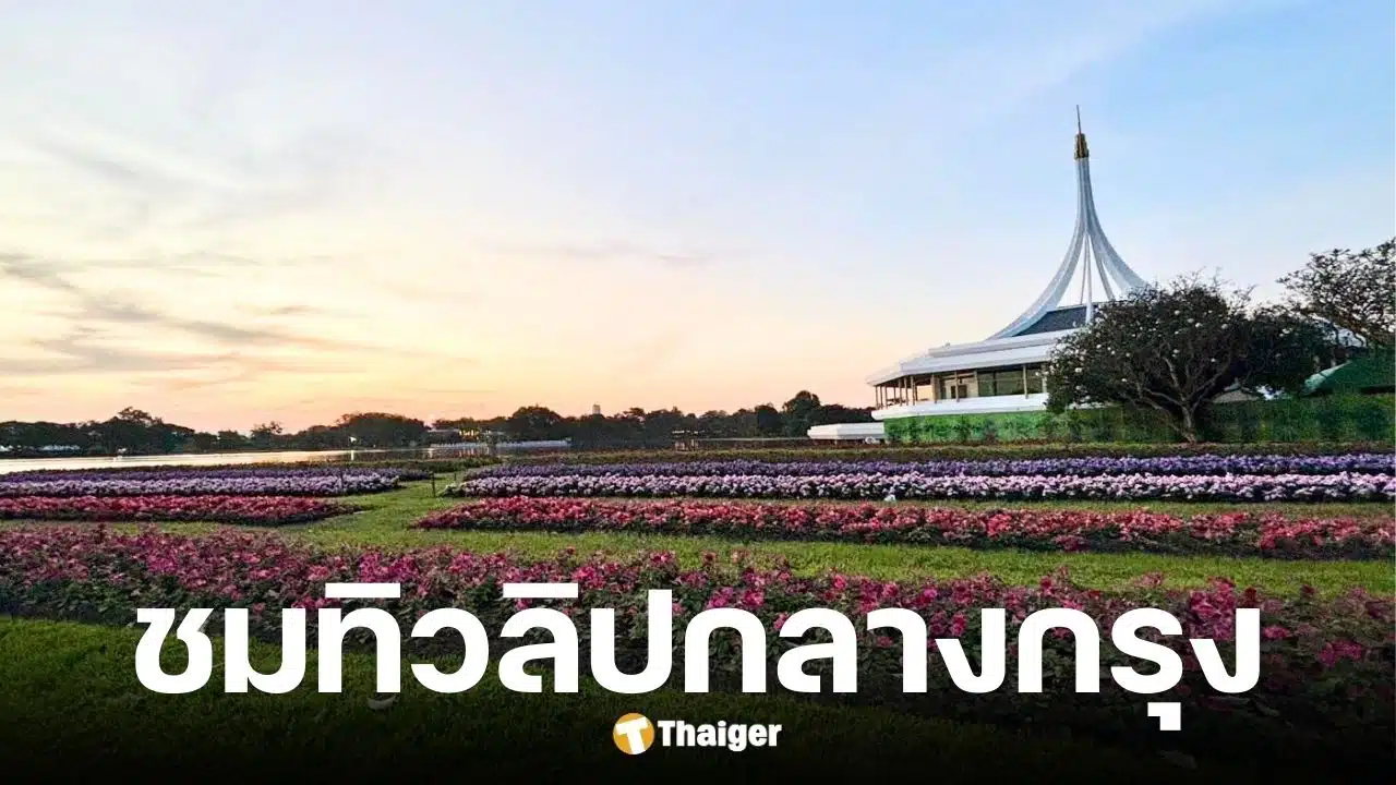 ชวนชม-ทิวลิปบานสวนหลวง-ร.9-ต้อนรับลมหนาว-เช็กเวลาเข้าชม-วิธีเดินทาง