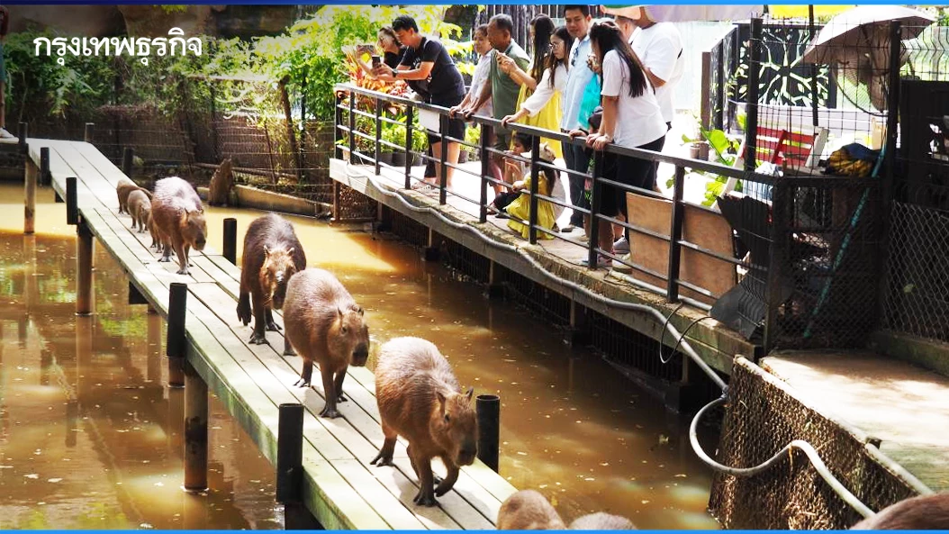 ‘วันพ่อ’-เข้าชมฟรี!-รวมสถานที่เที่ยวทั่วไทย-วันที่-5-ธันวาคม-2568
