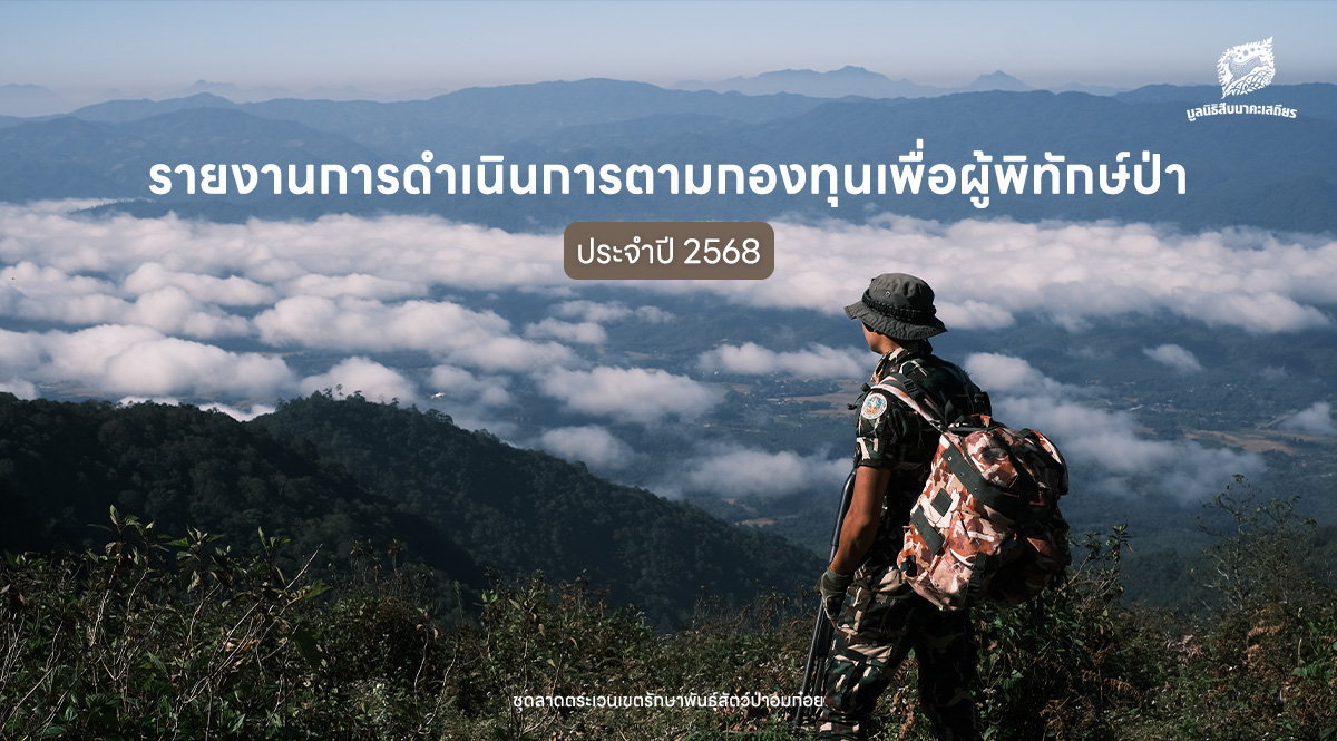 รายงานการดำเนินการตามกองทุนเพื่อผู้พิทักษ์ป่า-ประจำปี-2568-–-มูลนิธิสืบนาคะเสถียร