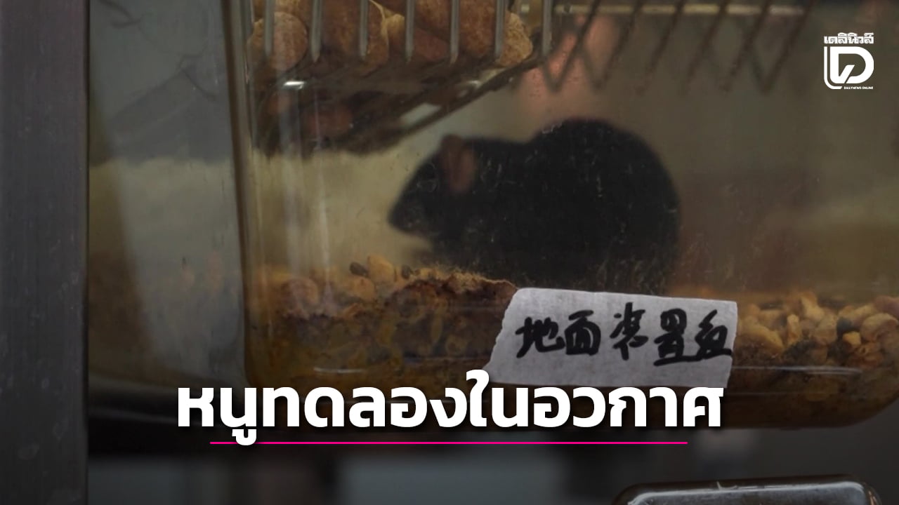 นักวิจัยพบ-“หนูทดลองในอวกาศ”-มีพฤติกรรมแตกต่างจากหนูบนโลก-(คลิป)-|-เดลินิวส์