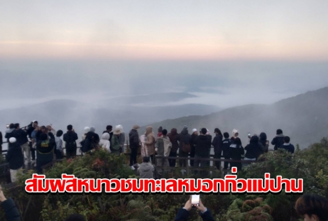 หนาวต่อเนื่อง!-นักท่องเที่ยวยังคึกคัก-ชมทะเลหมอกกิ่วแม่ปาน-สัมผัสหนาวดอยอินทนนท์-5-องศา