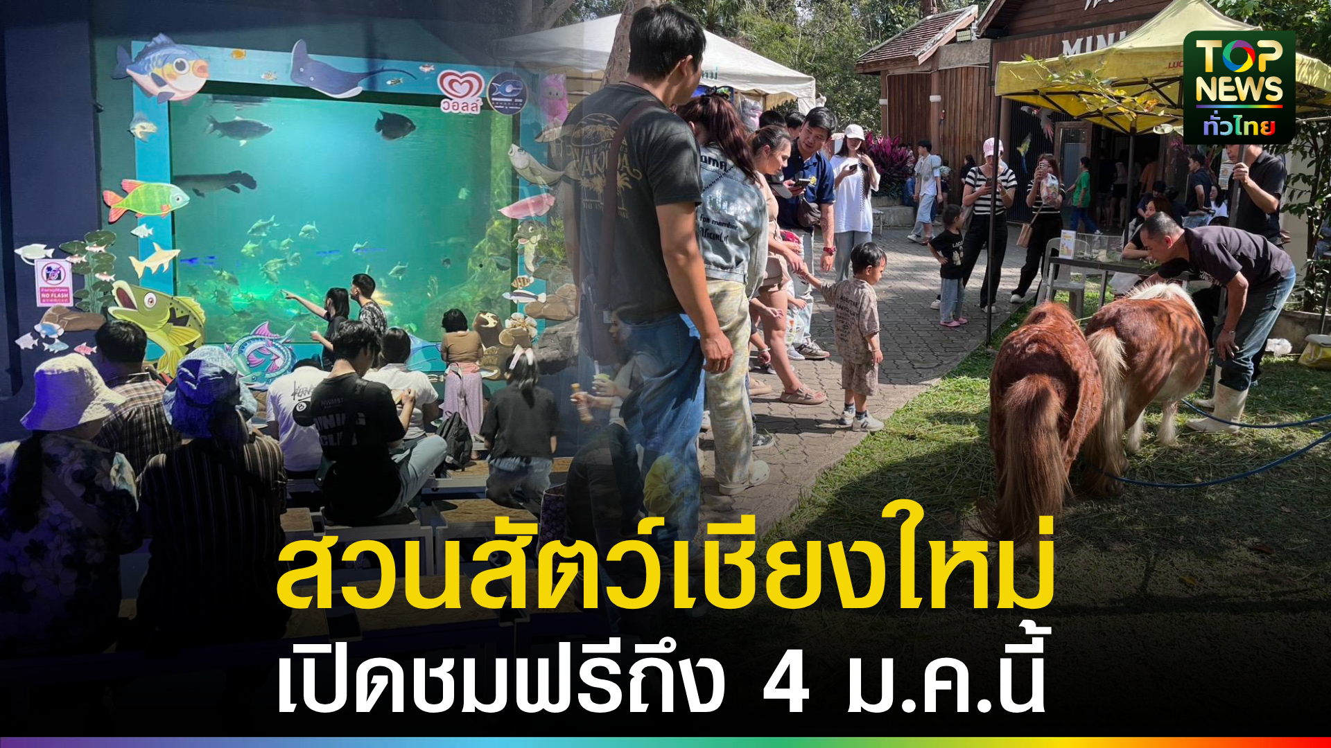 หยุดยาวปีใหม่-สวนสัตว์เชียงใหม่คึกคัก-เปิดให้เข้าฟรีถึงวันที่-4-มกราคม-2569-|-topnews