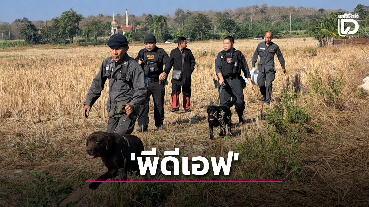 หนีรบมาค้าอาวุธ!-ระดมกำลังล่าอีก-1-เมียนมา-อดีต-‘พีดีเอฟ’-ยิง-‘ดต.’-ปางตาย-|-เดลินิวส์