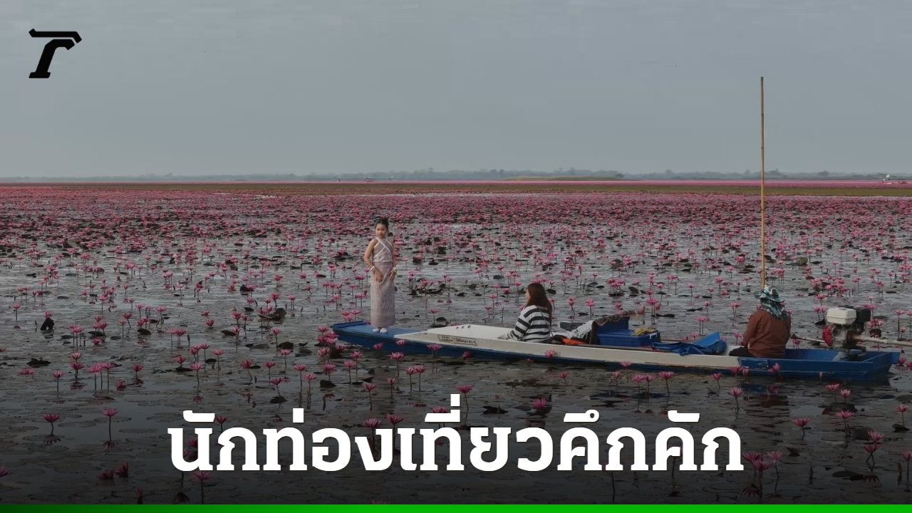 “ลิซ่า”-ฟีเวอร์-จุดกระแส-“ทะเลบัวแดง”-ยอดนักท่องเที่ยวพุ่ง-แห่ถ่ายรูปเช็กอิน