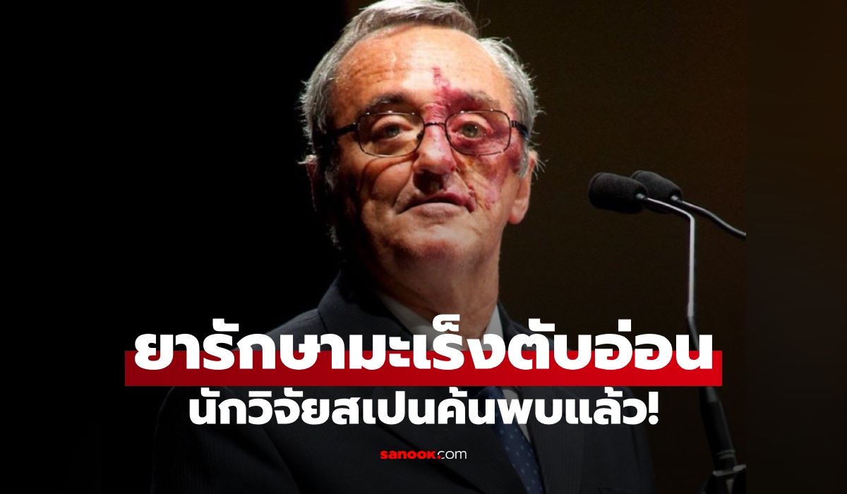 ข่าวดีของโลก!-ทีมวิจัยสเปนค้นพบสูตรยารักษา-“มะเร็งตับอ่อน”-สำเร็จในหนูทดลอง
