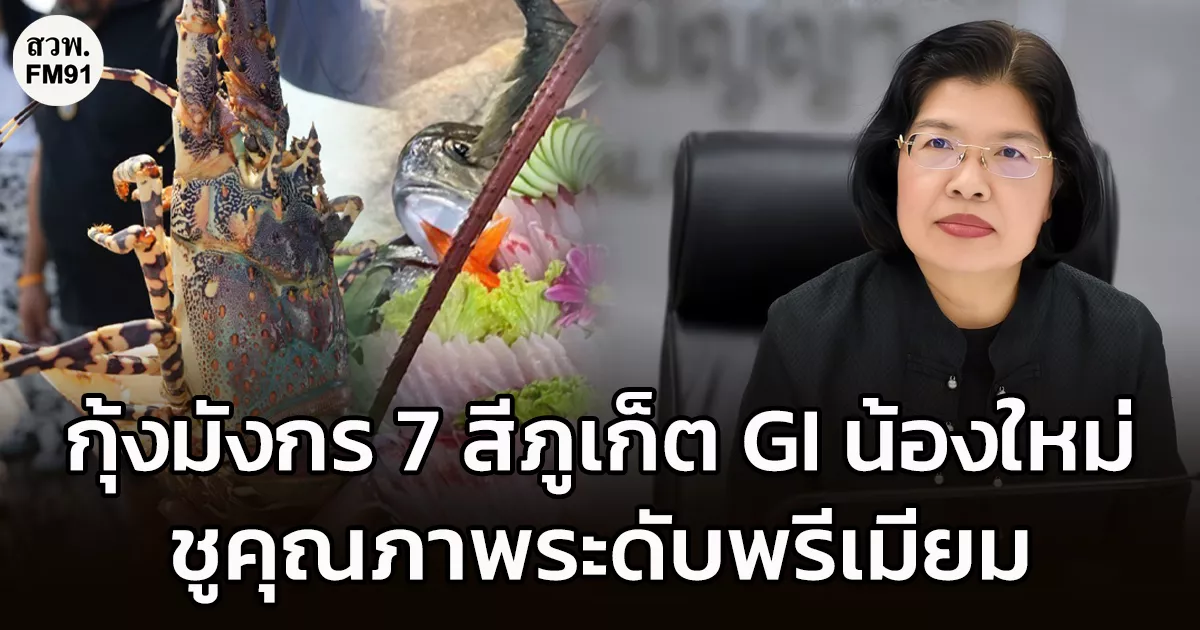 ฟัวกราส์แห่งท้องทะเล-กรมทรัพย์สินทางปัญญา-ยก-“กุ้งมังกร-7-สีภูเก็ต”-เป็น-gi-น้องใหม่-ชูคุณภาพระดับพรีเมียม