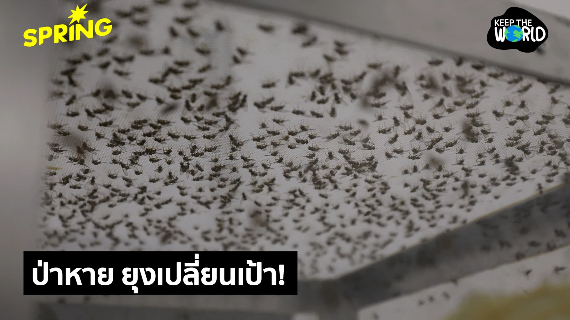 ป่าหาย-ยุงเปลี่ยนเป้า!-หันมาดูดเลือดคนมากขึ้นหลังพื้นที่ป่าลด-เสี่ยงโรคระบาดพุ่ง