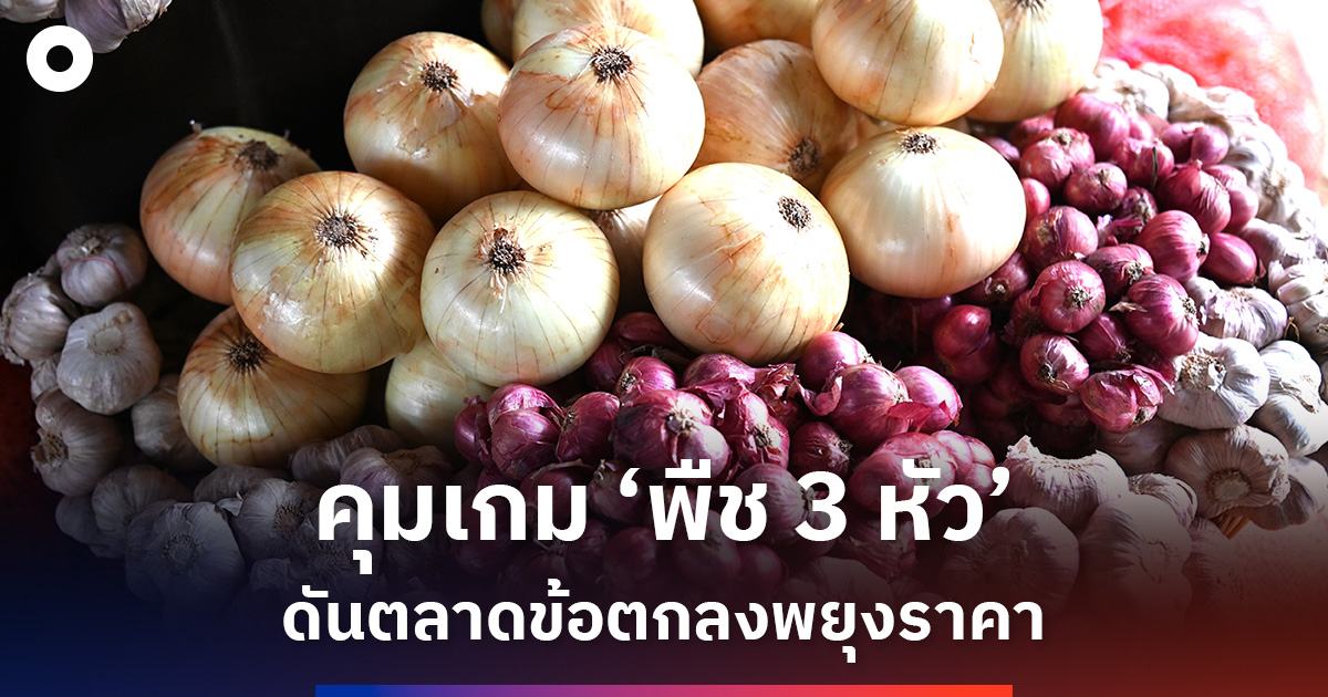 พาณิชย์คุมเกม-‘พืช-3-หัว’-ดันตลาดข้อตกลงพยุงราคา