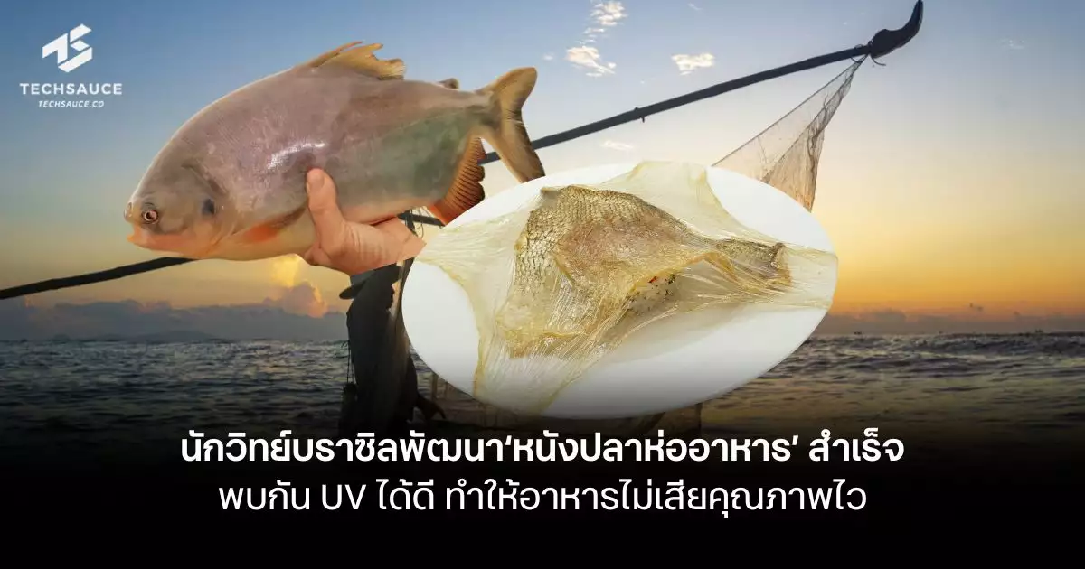 นักวิทย์บราซิลพัฒนา-‘หนังปลาห่ออาหาร’-สำเร็จ-พบกัน-uv-ได้ดี-ทำให้อาหารไม่เสียคุณภาพไว