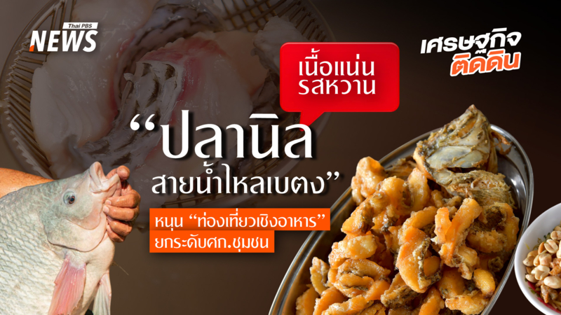 เนื้อแน่น-รสหวาน-“ปลานิลสายน้ำไหลเบตง”-หนุน-“ท่องเที่ยวเชิงอาหาร”-ยกระดับศก.ชุมชน