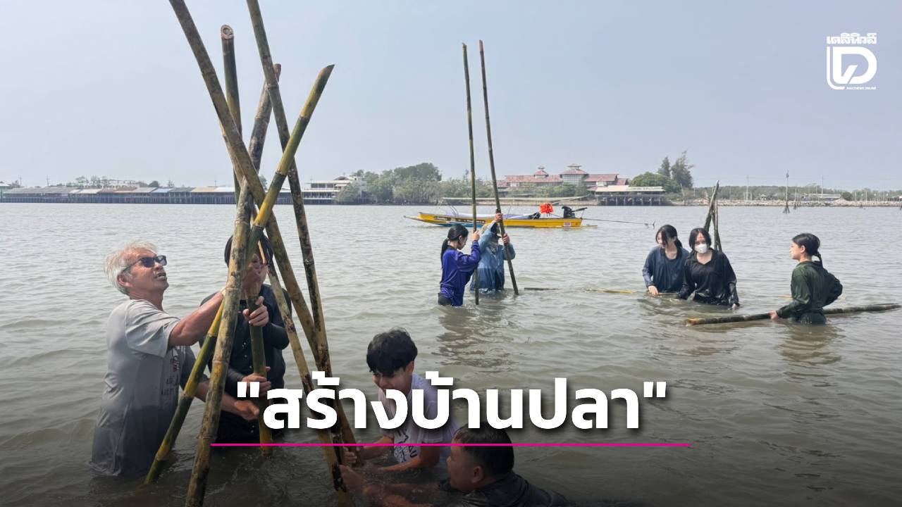 นร.กรุง-ลงพื้นที่ดอนหอยหลอด-สร้างบ้านปลา-หนุนท่องเที่ยวเชิงอนุรักษ์-เศรษฐกิจชุมชนชายฝั่ง-|-เดลินิวส์