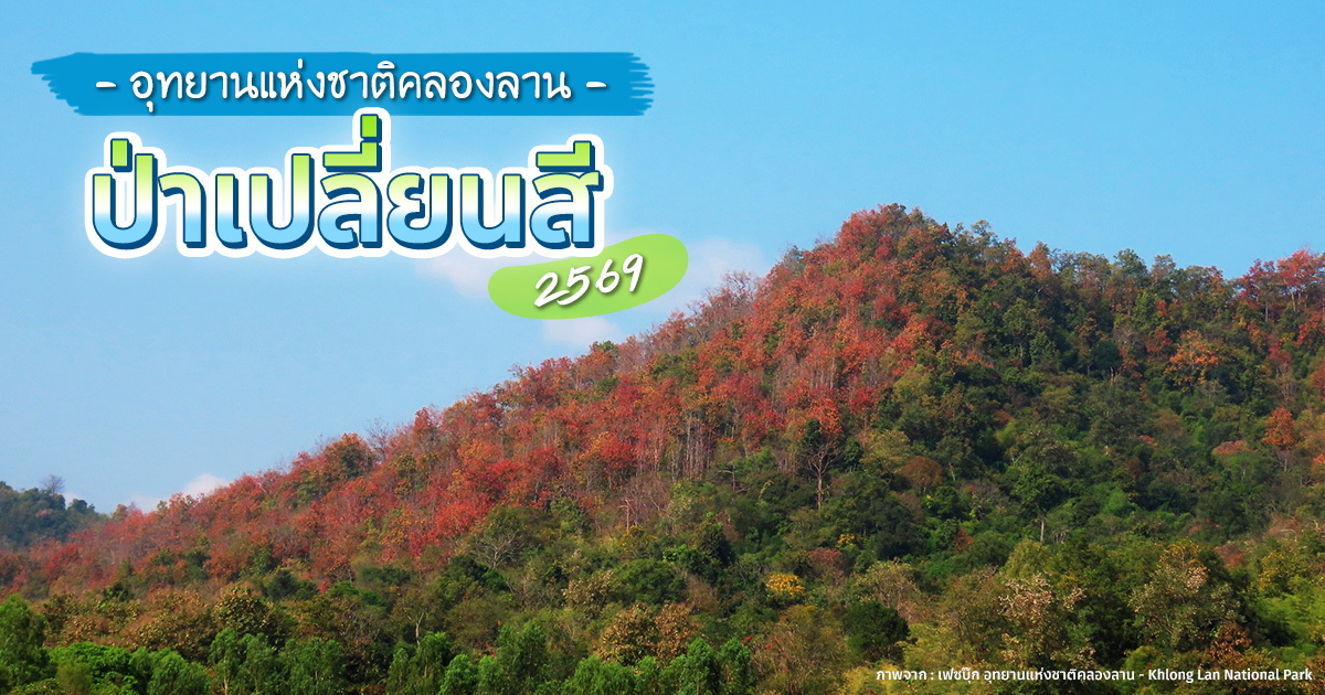 ป่าเปลี่ยนสี-คลองลาน-2569-ใบไม้แดงส้มเหลือง-สวยหนึ่งปีมีครั้ง