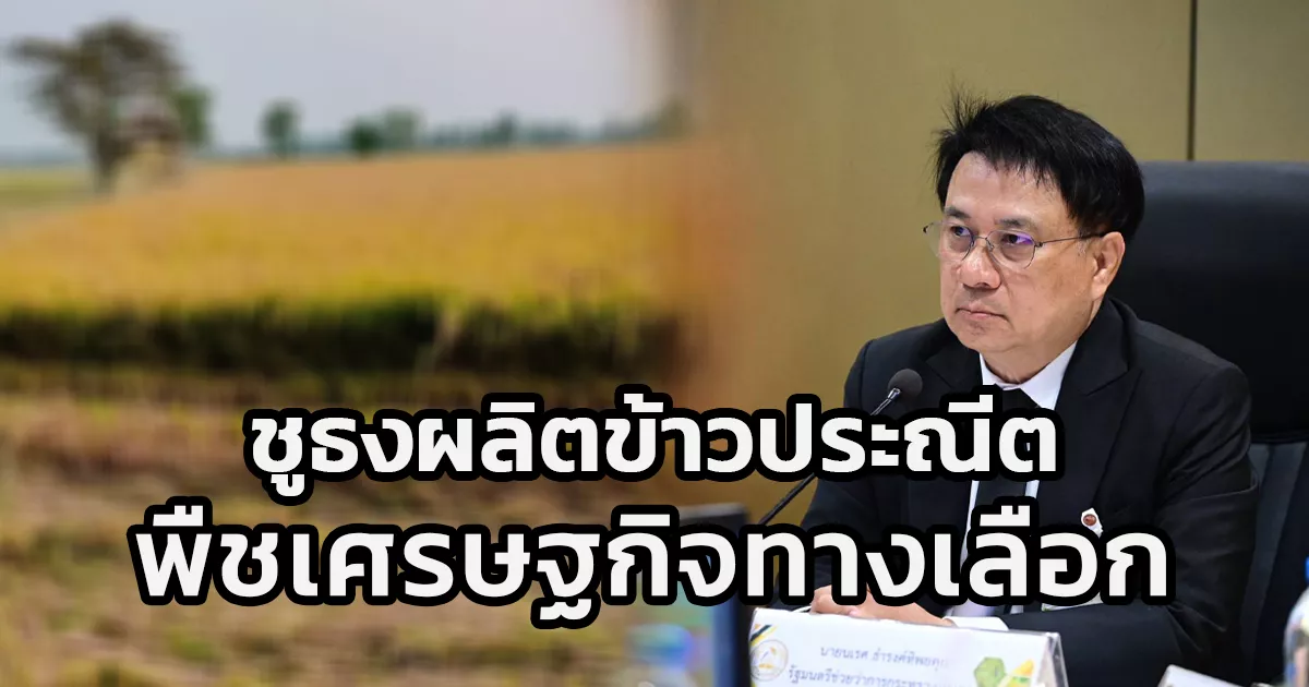“รมช.นเรศ”-เป็นประธานการประชุมคณะอนุกรรมการนโยบายและบริหารข้าวแห่งชาติด้านการผลิต-ครั้งที่-1/2569-ชูธงผลิตข้าวประณีตและพืชเศรษฐกิจทางเลือก
