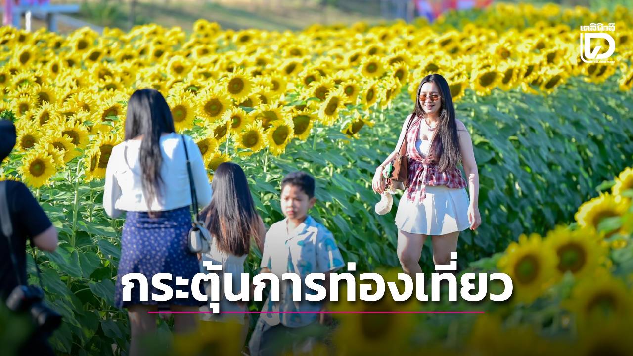 อบจ.อุบลฯ-เปิดงาน-เทศกาลทุ่งทานตะวัน-ส่งเสริมการท่องเที่ยว-|-เดลินิวส์
