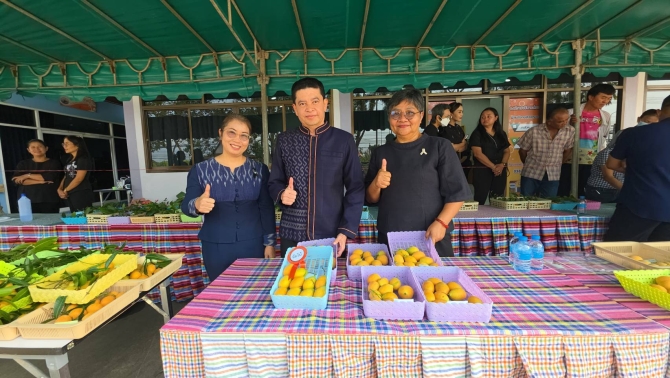 เกษตรเมืองระยอง-เปิดงานประกวดมะปรางหวานจัมโบ้-มุ่งส่งเสริมการผลิต-กระตุ้นท่องเที่ยว