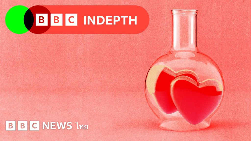 วาเลนไทน์:-มีใครสักคนบนโลกนี้ที่เป็นคู่แท้ของคุณหรือไม่-?-–-bbc-news-ไทย