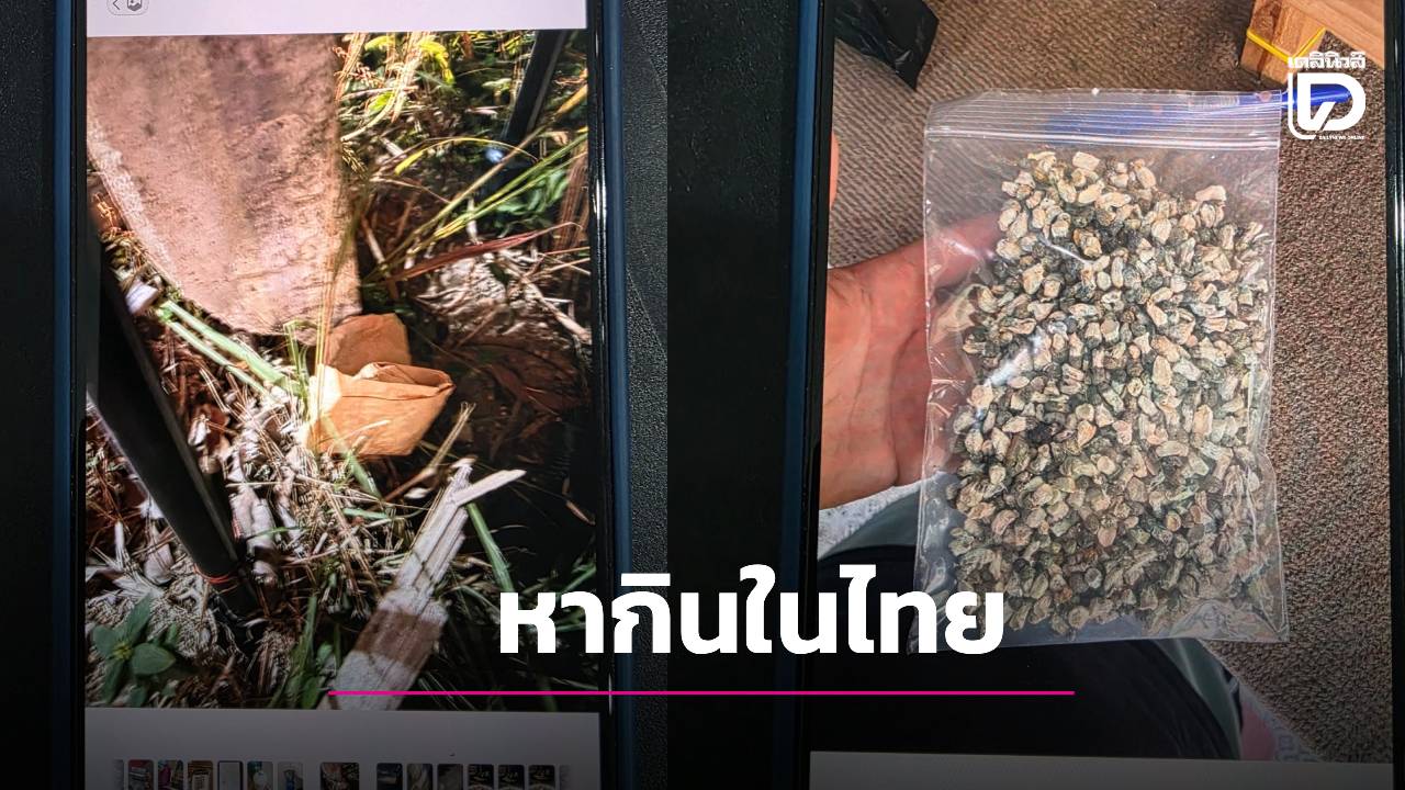 ทลายเครือข่ายข้ามชาติ!-รวบมาเฟียอิสราเอลเจ้าของร้านดังเกาะพะงัน-ยึดยาลอตมหึมา-50-ล้าน-|-เดลินิวส์