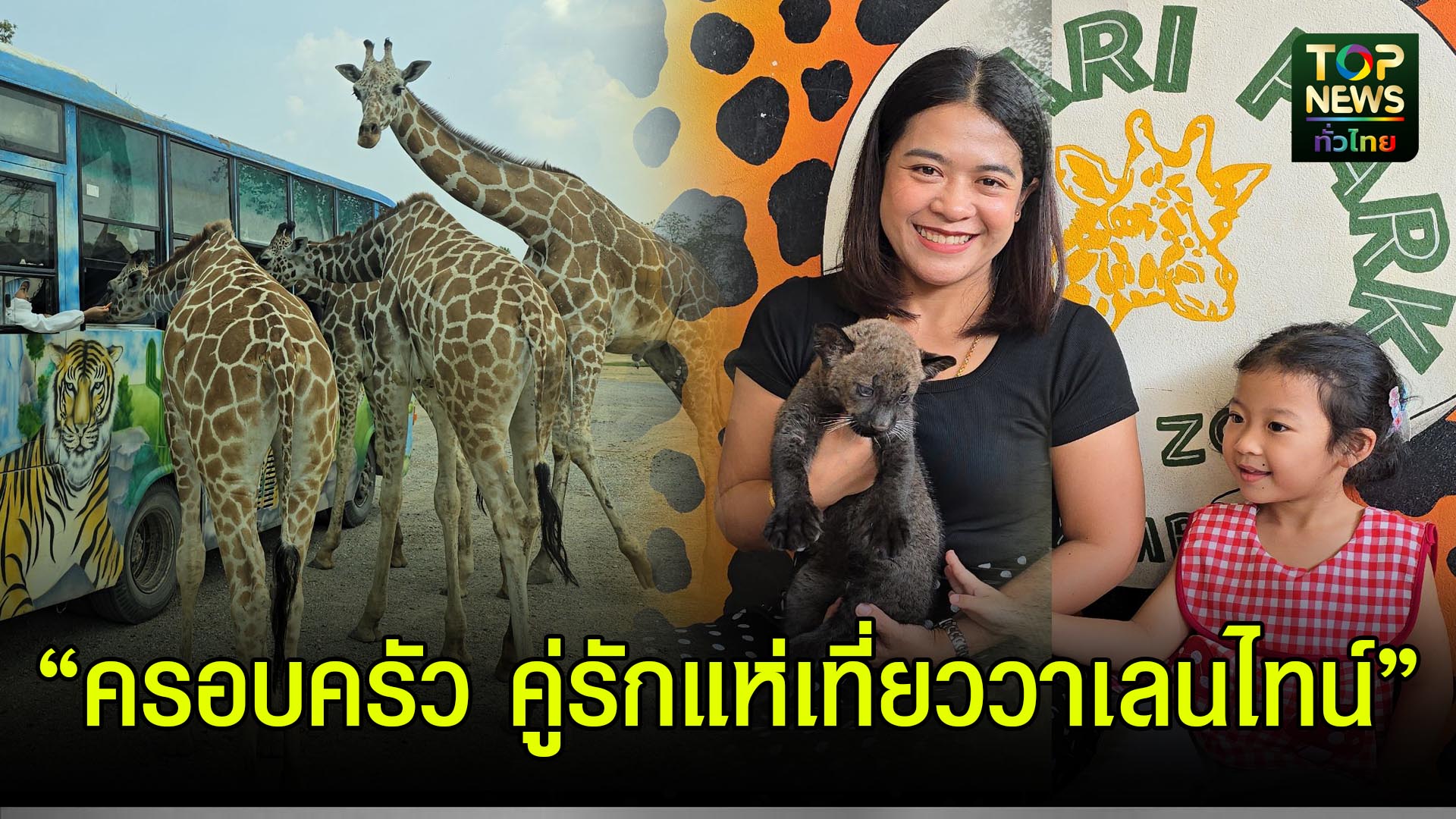 กาญจนบุรี///-สวนสัตว์เปิดซาฟารีปาร์คคึกคัก!-ครอบครัวและคู่รักแห่เที่ยววันวาเลนไทน์-|-topnews